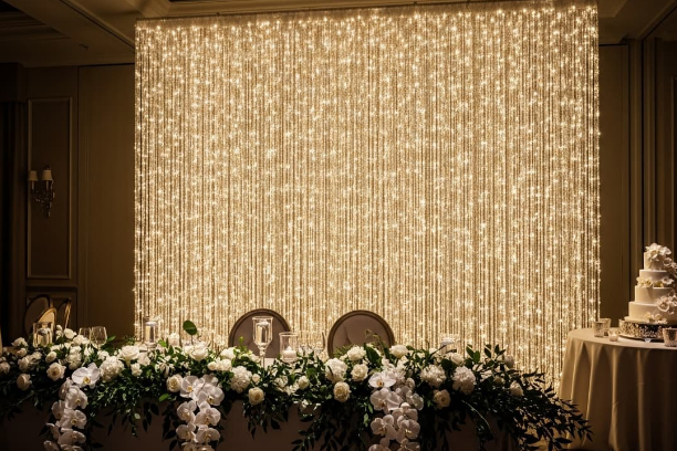 PALED - Venta y Renta de Pantallas LED Profesionales